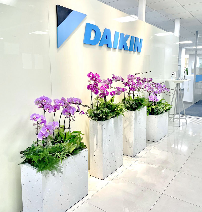 大金(中國(guó))辦公樓綠植租賃